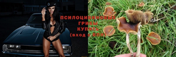 винт Куйбышев