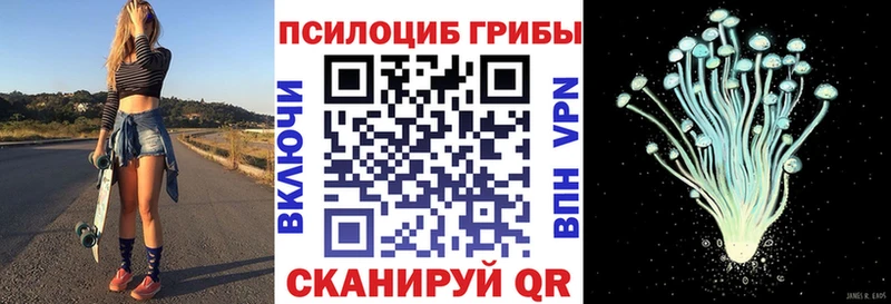 Псилоцибиновые грибы Magic Shrooms  Малгобек 
